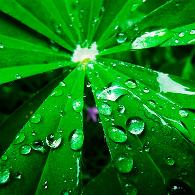 电话轰在线轰炸免费